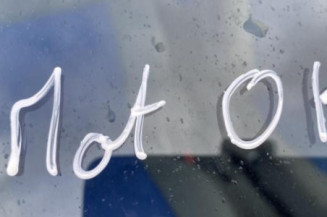 Poignee porte avant gauche VOLKSWAGEN LUPO