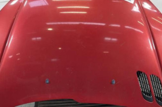 Capot PEUGEOT 206 Photo n°1