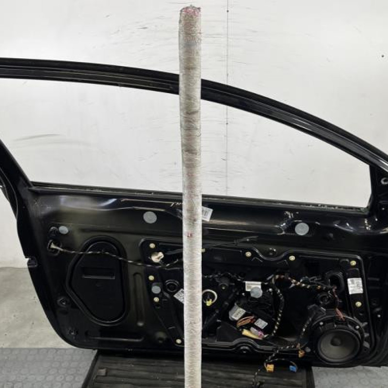 Porte avant gauche VOLKSWAGEN GOLF 6 Photo n°5