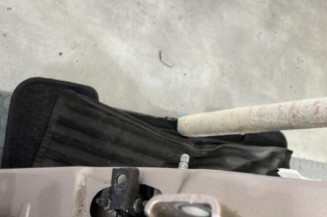 Porte arriere gauche PEUGEOT 208 1