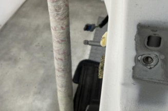 Porte arriere gauche CITROEN C3 PICASSO