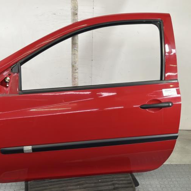 Porte avant gauche RENAULT CLIO 3 Photo n°1