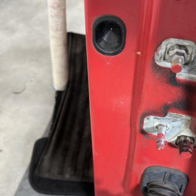 Porte avant gauche RENAULT CLIO 3 Photo n°4