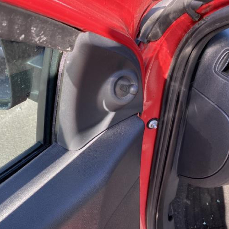 Porte avant gauche RENAULT CLIO 3 Photo n°16