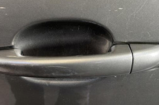 Porte arriere gauche CITROEN C4 PICASSO 1