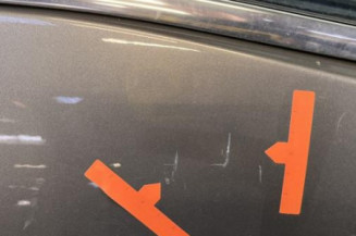 Porte arriere gauche CITROEN C4 PICASSO 1