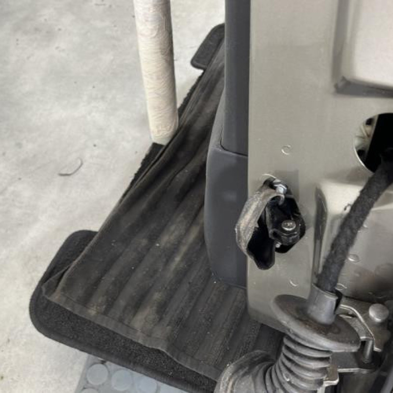 Porte arriere gauche CITROEN C4 PICASSO 1 Photo n°5