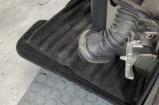 Porte arriere gauche CITROEN C4 PICASSO 1