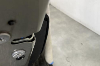 Porte arriere gauche CITROEN C4 PICASSO 1