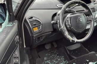 Porte arriere gauche CITROEN C4 PICASSO 1