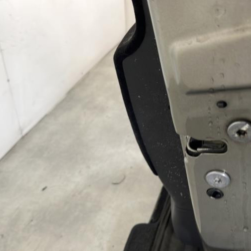 Porte avant droit CITROEN C4 PICASSO 1 Photo n°4