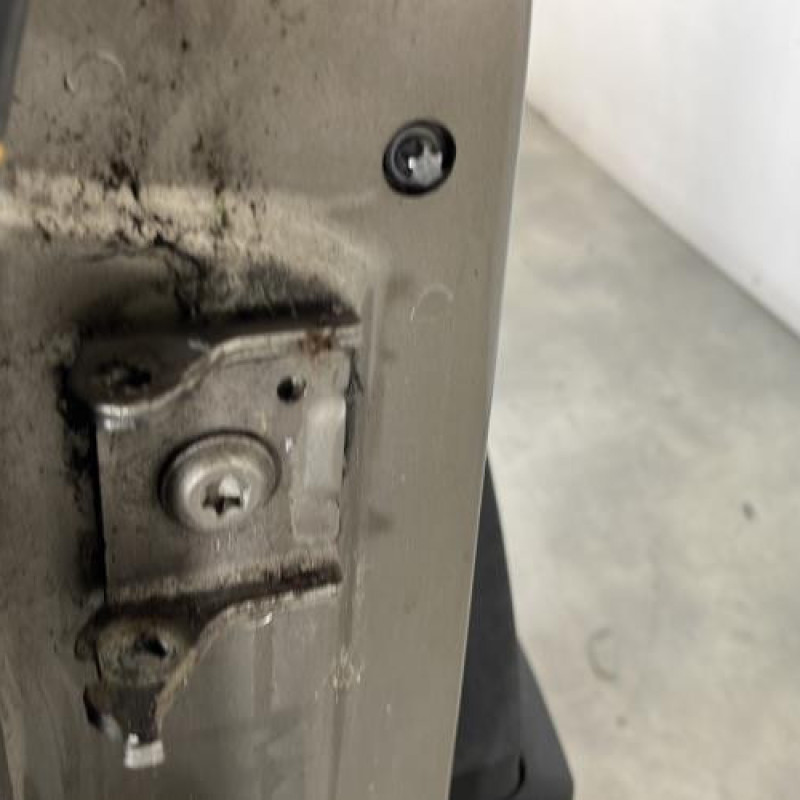 Porte avant droit CITROEN C4 PICASSO 1 Photo n°5