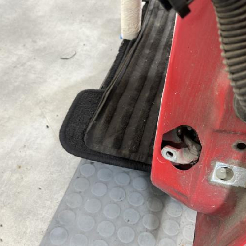 Porte arriere gauche PEUGEOT 206+ Photo n°4