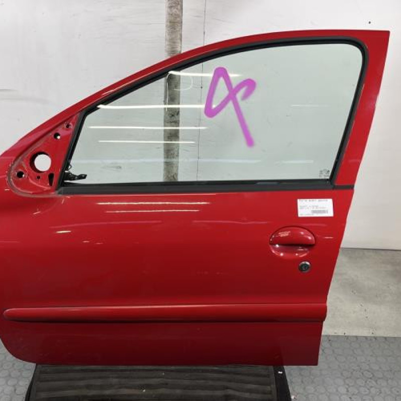 Porte avant gauche PEUGEOT 206+ Photo n°1