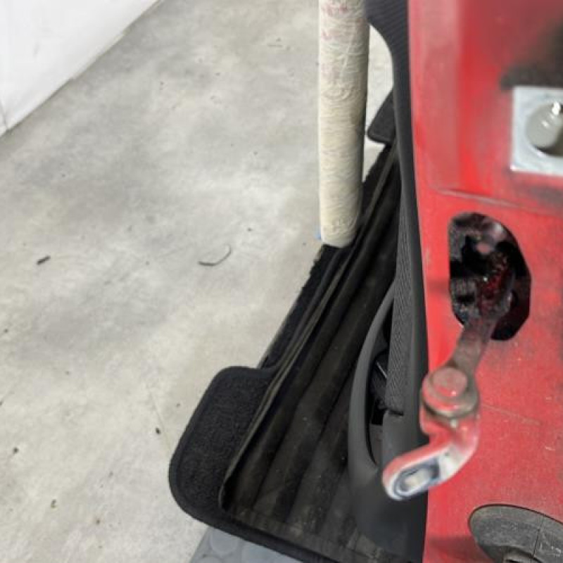 Porte avant gauche PEUGEOT 206+ Photo n°4