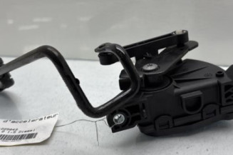 Pedale d'accelerateur RENAULT CLIO 2