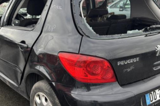 Pedale d'accelerateur PEUGEOT 307