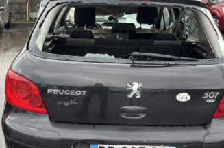 Pedale d'accelerateur PEUGEOT 307