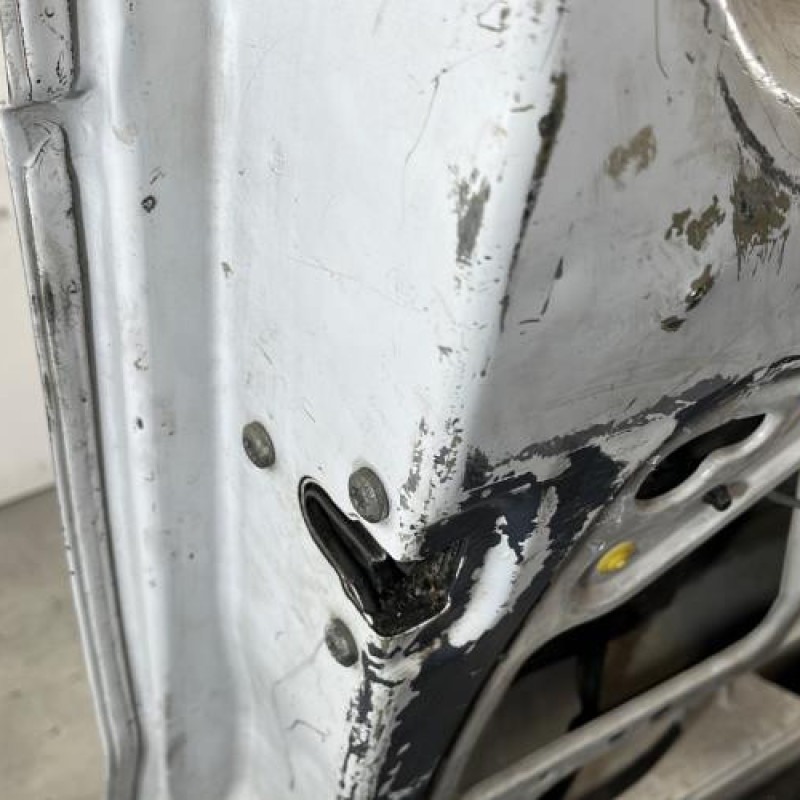 Porte de coffre gauche RENAULT TRAFIC 2 Photo n°2