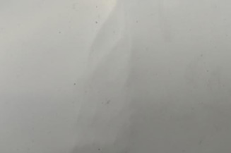 Porte de coffre gauche RENAULT TRAFIC 2