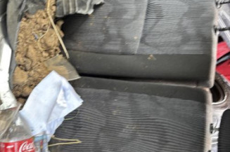 Vitre arriere droit DACIA SANDERO 1