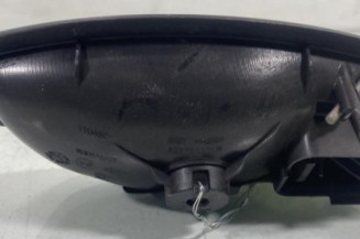 Poignee interieur arriere gauche RENAULT SCENIC 3