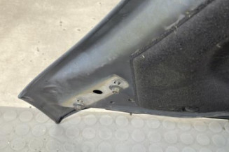 Capot CITROEN C4 PICASSO 1