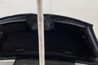 Capot CITROEN C4 PICASSO 1