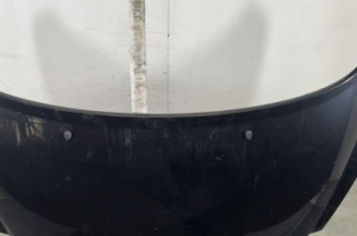 Capot PEUGEOT 207 Photo n°1