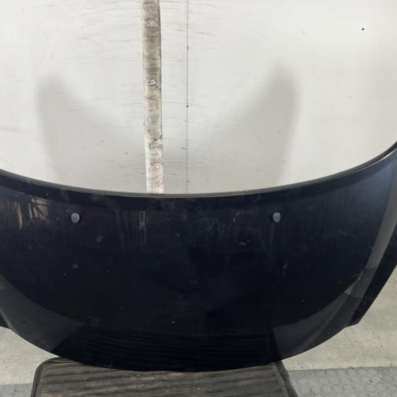 Capot PEUGEOT 207 Photo n°1