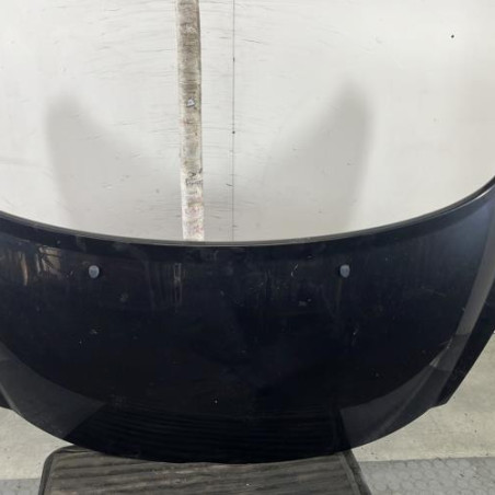 Capot PEUGEOT 207 Photo n°1