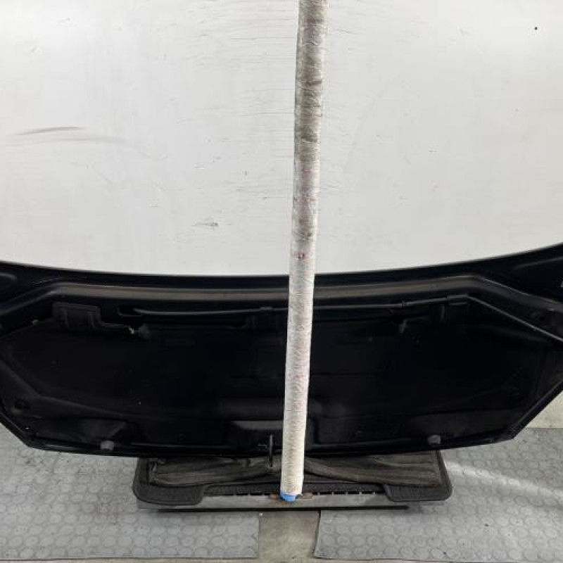 Capot PEUGEOT 207 Photo n°9