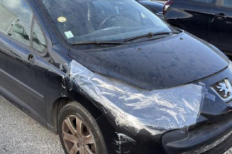 Malle/Hayon arriere PEUGEOT 207