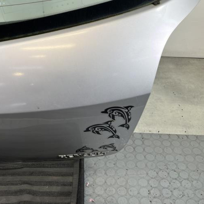 Malle/Hayon arriere RENAULT CLIO 3 Photo n°7