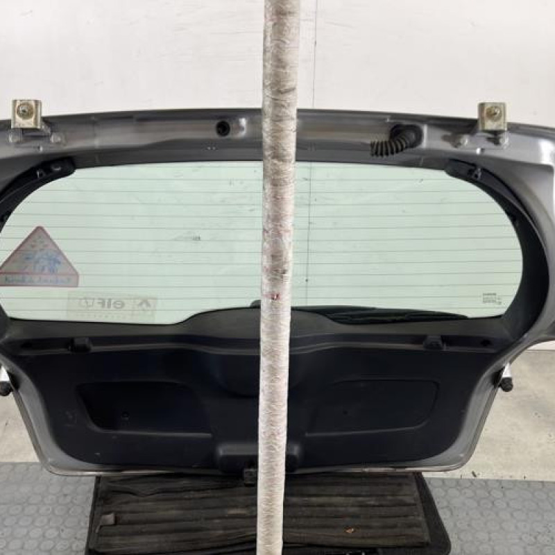 Malle/Hayon arriere RENAULT CLIO 3 Photo n°13