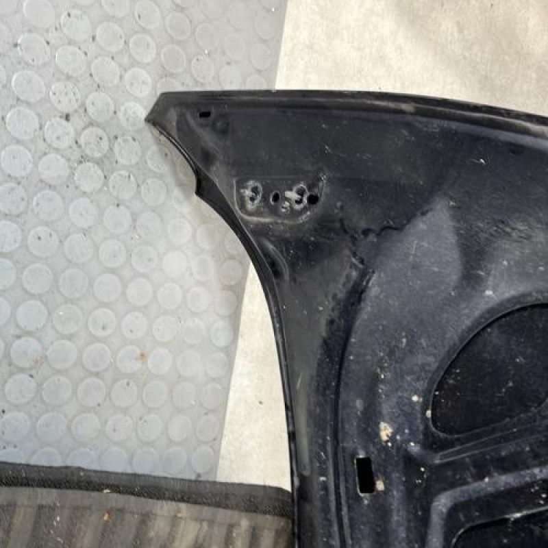 Capot FORD FIESTA 6 Photo n°8