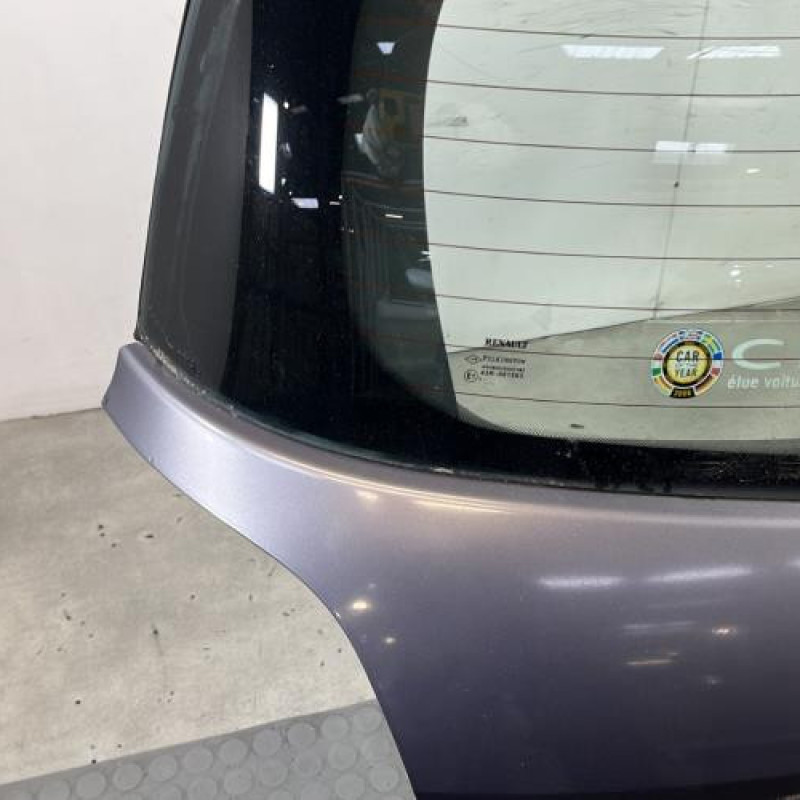 Malle/Hayon arriere RENAULT CLIO 3 Photo n°5