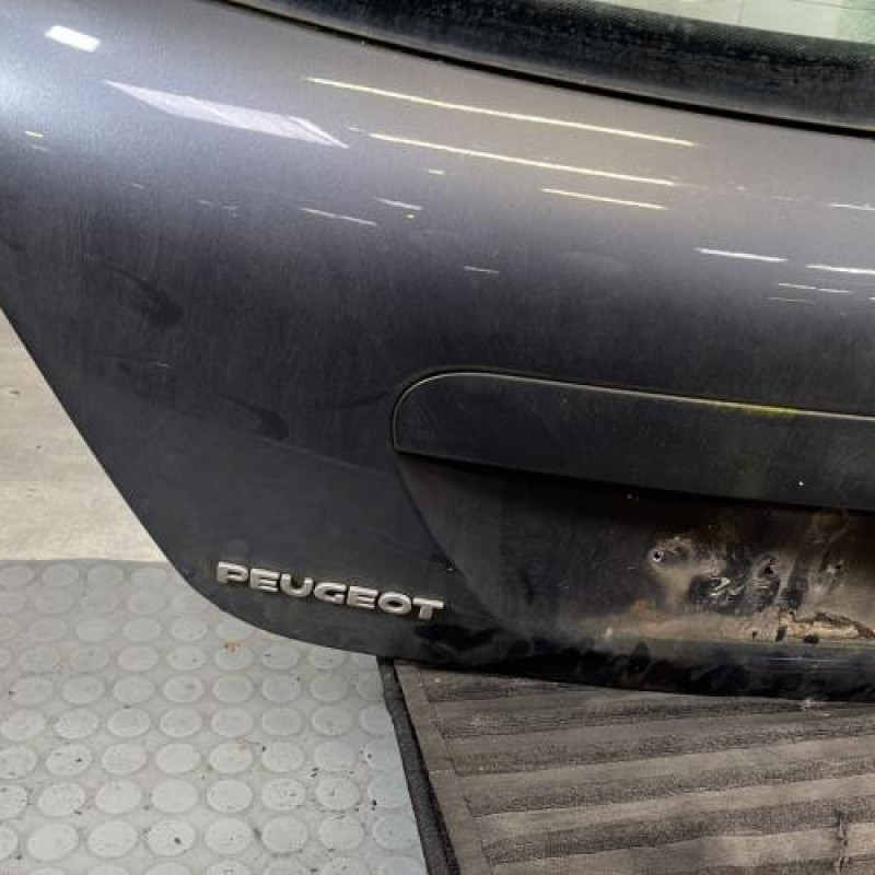 Malle/Hayon arriere PEUGEOT 207 Photo n°6