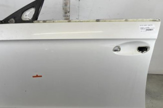 Porte avant gauche MERCEDES CLASSE CLS 219 Photo n°1