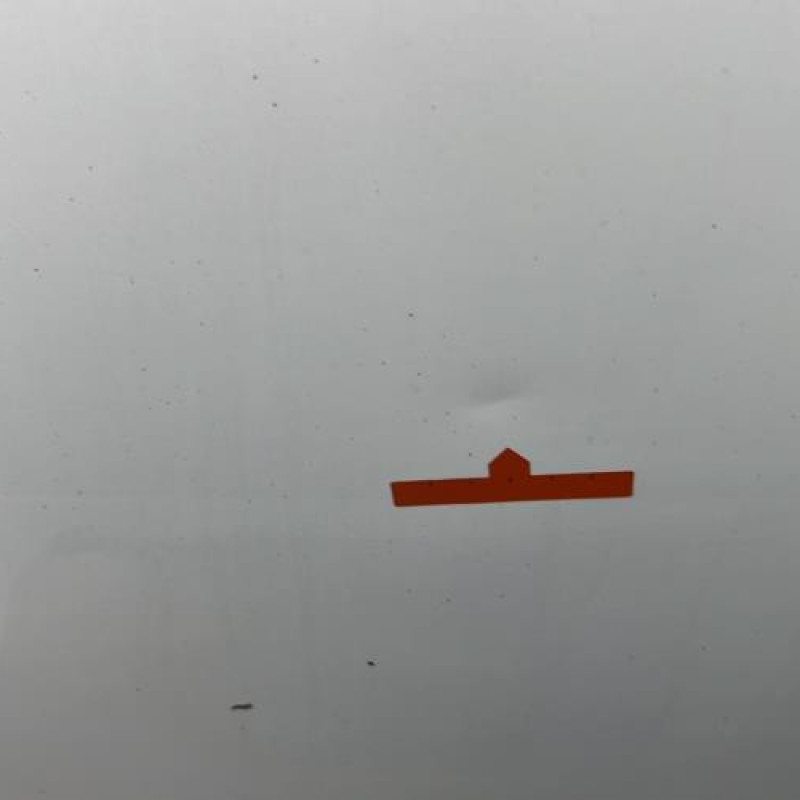 Porte avant gauche MERCEDES CLASSE CLS 219 Photo n°2