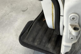 Porte avant gauche MERCEDES CLASSE CLS 219