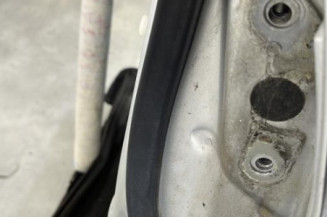 Porte arriere gauche TOYOTA COROLLA VERSO 2