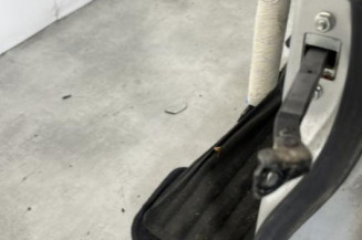 Porte arriere gauche TOYOTA COROLLA VERSO 2