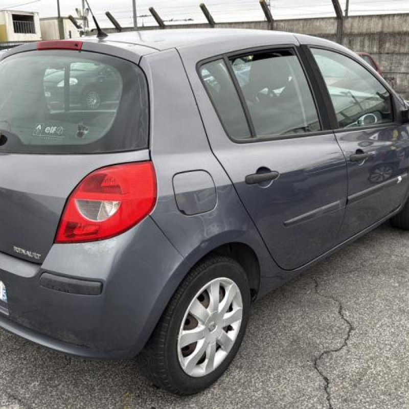 Porte arriere droit RENAULT CLIO 3 Photo n°8