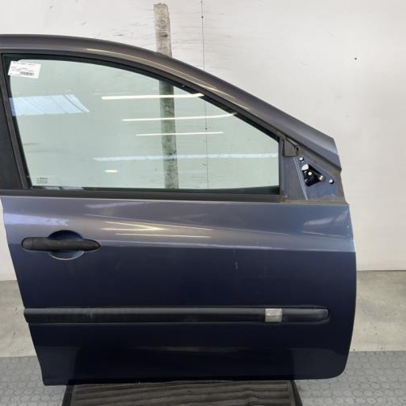 Porte avant droit RENAULT CLIO 3 Photo n°1