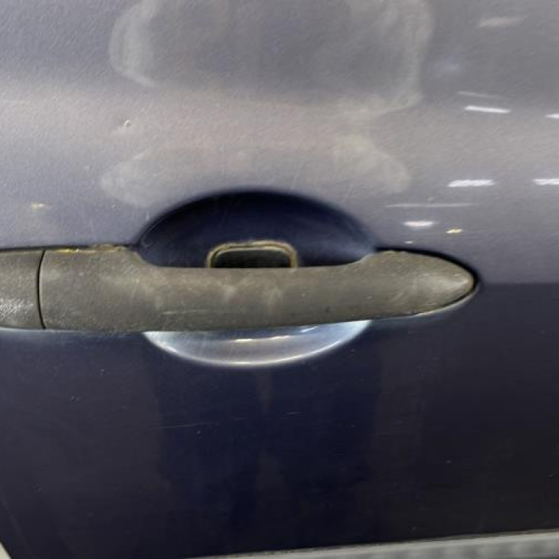 Porte avant droit RENAULT CLIO 3 Photo n°2