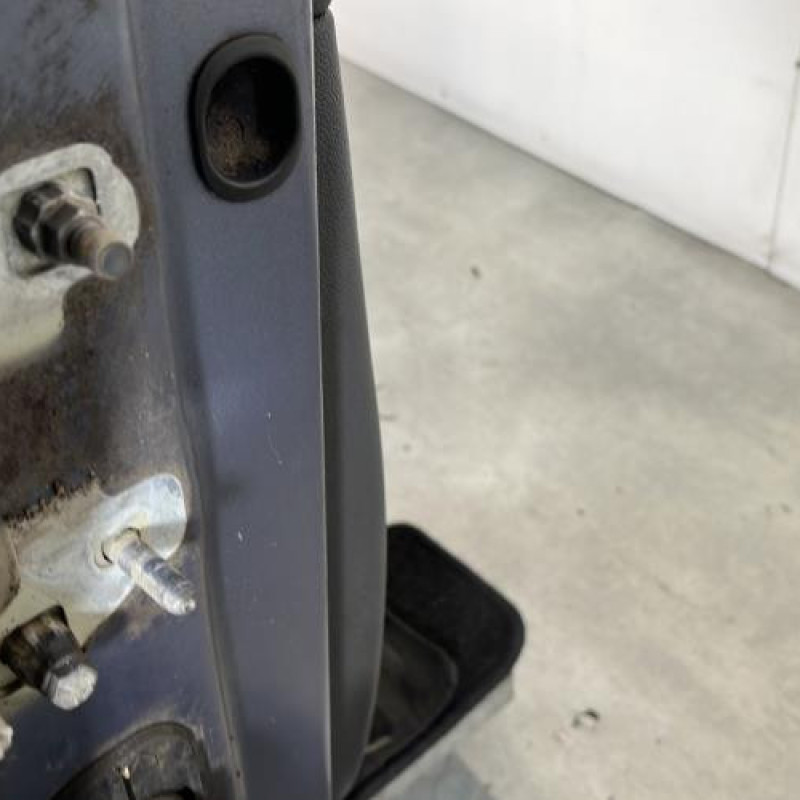 Porte avant droit RENAULT CLIO 3 Photo n°4