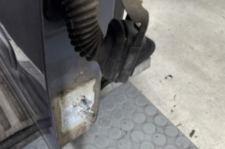 Porte avant droit RENAULT CLIO 3