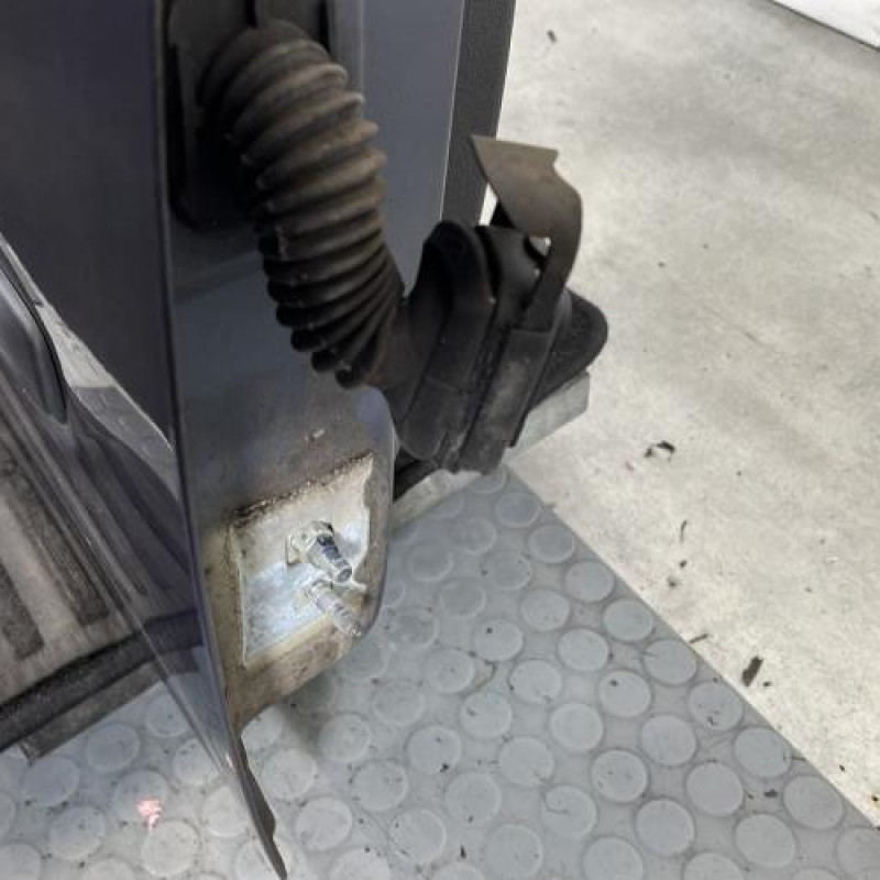 Porte avant droit RENAULT CLIO 3 Photo n°5