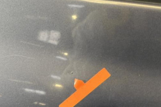 Porte avant droit RENAULT CLIO 3